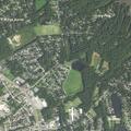 62-year-old male bleeding from genital area at healthcare facility