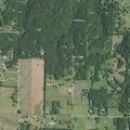Neighbor dispute over trees and fence line
