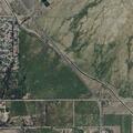 Deputy reports stray dog running near Mendenhall Park