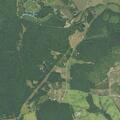 Person suffering from abdominal pain in Gladys VA