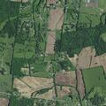 56-year-old male unconscious after abdominal pain in Kentucky