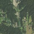 Young child with neck and back pain in Olive Branch