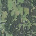 Man injured by accidental self-inflicted gunshot