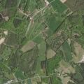 Person with upper back pain found in yard near Virginia