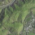 Reported road-rage/assault: juvenile tried to hit caller’s vehicle and blocked driveway