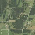 Neighbor’s pigs repeatedly damage yard
