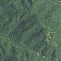 Domestic dispute on Canebrake Mountain Road