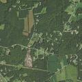 Person having seizure near April Lane and Sandy Ridge Road in Hopewell