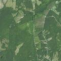 Person altered near Red House Road in Appomattox