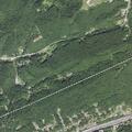 Bear reported on residential property
