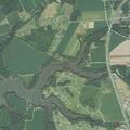 Person having a stroke near Tower Hill Circle, Cape Charles