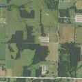 Cow loose on roadway near Highway M in Everton