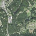 Car hits deer near Majestic Place in Bluewell