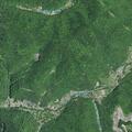 92-year-old woman unable to walk near Longfork Rd