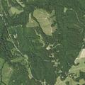 Man injured by tree falling on head in Jetersville