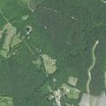 Man with broken arm near Pamplin