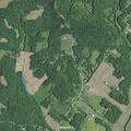 Possible dead on arrival near Dexterville-Banock Rd