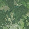 Person fell near Hixburg Road in Pamplin