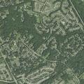 Person suffering chest pain at Mistwood Forest Drive