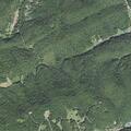 Officers respond to animal complaint on Dogwood Hills