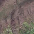 Man assaulted and requesting help on Mountain Lake Rd