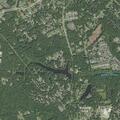 Person sick near Hollis Lane in Chester