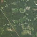Controlled marsh burn on Little Elam Church Road
