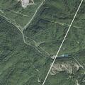 Small tree blocking lane on Coaldale Mountain Road