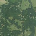 Woman having seizure after fall near Little Bear Lane