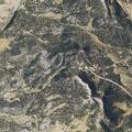 Loose dog reported on property in Mancos
