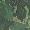 Large controlled burn in field near Forge Road