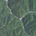 Dead body found near Frog Level Road