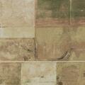 Woman with back injury vomiting and dizzy in bathroom