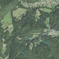 Child reportedly struck in face with golf club