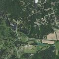 Deer found dead in roadway on JD Buchanan Road