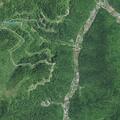 Report of large wild hogs on West Beaver Creek