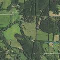 Child wheezing after bee stings at State Hwy CC