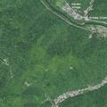 Report of domestic assault at Greasy Creek home