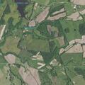 Woman reported not speaking clearly and incontinent at rural residence