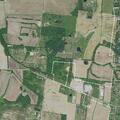 Foster juvenile runs away in Beaver Dam area