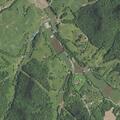 94-year-old man dizzy and vomiting near Kentucky