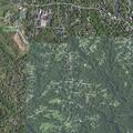 Person reported with chest pain near Lynchburg