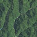 Check for roadway hazard near house on Middle Fork Road