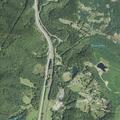 Domestic disturbance with possible firearm near Cove Branch Road