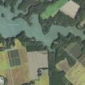 Person fell near Cedar Grove Farm Road in Birdsnest
