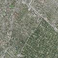 Elderly woman with chest pain and difficulty breathing near Austin Avenue