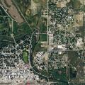Bear reported in tree at Cole Park near BMX dirt bike area