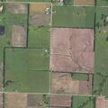 Aggressive dogs reported on Southeast 70th Lane