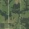 91-year-old female found with altered mental status