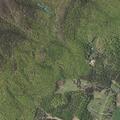Elderly woman reported to have fallen near Big Spring Road